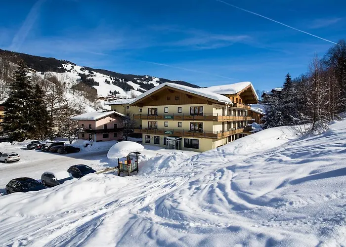 Hotel Baerenbachhof - Joker Card Included In Summer 3*