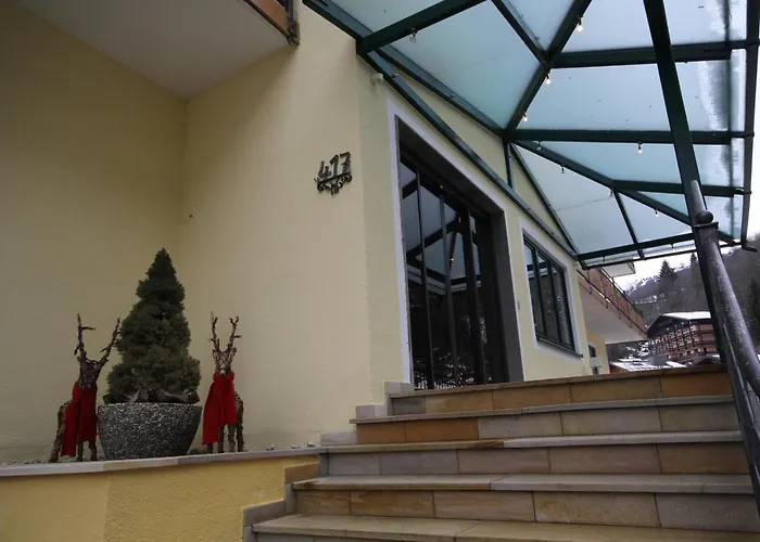 Hotel Baerenbachhof - Joker Card Included In Summer 3*