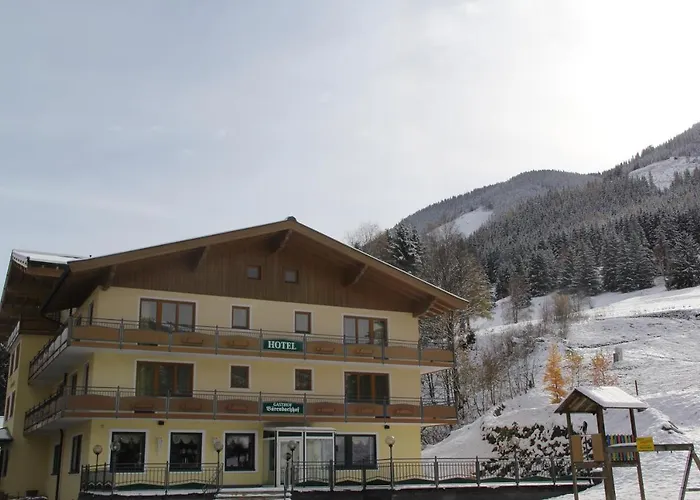 Baerenbachhof - Joker Card Included In Summer Hotel Saalbach-Hinterglemm